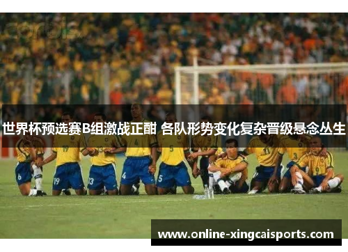世界杯预选赛B组激战正酣 各队形势变化复杂晋级悬念丛生