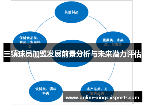 三镇球员加盟发展前景分析与未来潜力评估