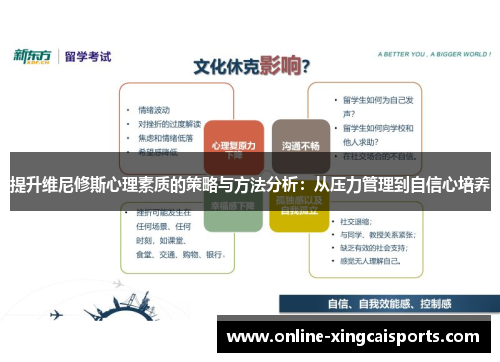 提升维尼修斯心理素质的策略与方法分析：从压力管理到自信心培养