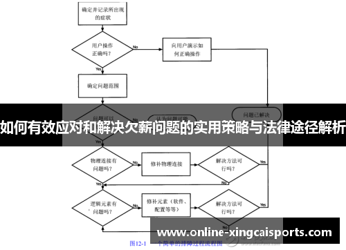 如何有效应对和解决欠薪问题的实用策略与法律途径解析