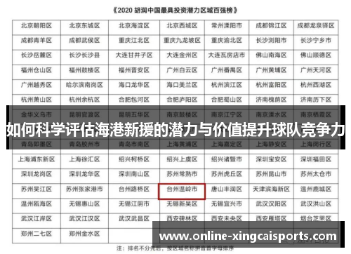 如何科学评估海港新援的潜力与价值提升球队竞争力