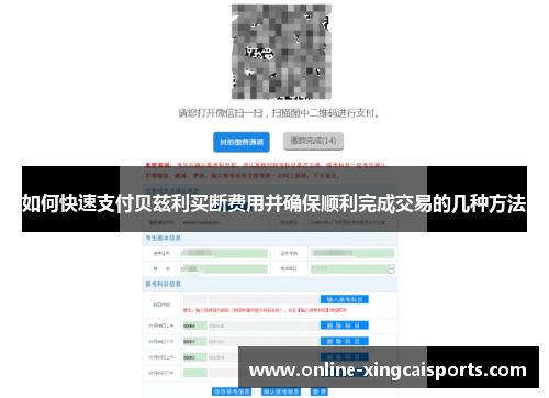 如何快速支付贝兹利买断费用并确保顺利完成交易的几种方法