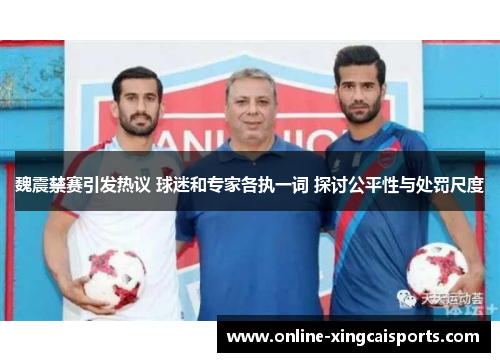 魏震禁赛引发热议 球迷和专家各执一词 探讨公平性与处罚尺度